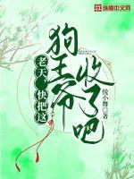 落屿归航