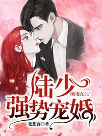 医道官途，从省保健局崛起！