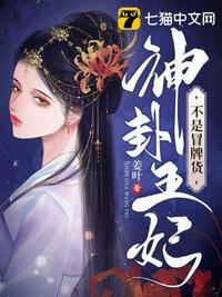 机关女人