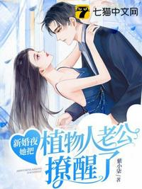 从拳愿暴打海贼王开始