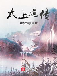 我对夫人绝无他想