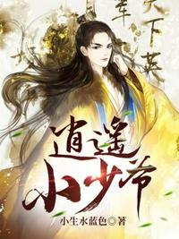 精灵：训练家真司