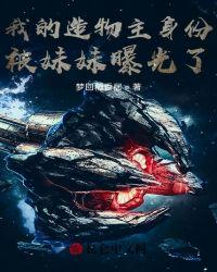 太子妃为何不侍寝