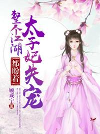 华夏远征军之我的团长