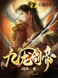 我法师加奶妈，用七把剑不过份吧