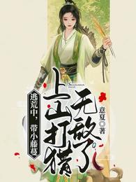 一个厨子，洛克斯海贼团副船长？